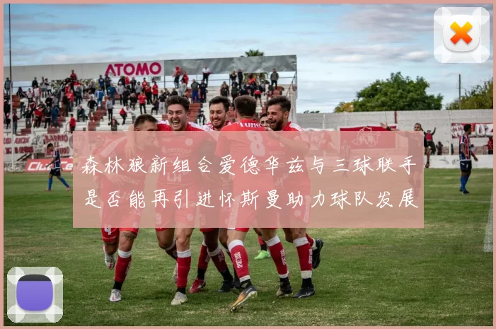 森林狼新组合爱德华兹与三球联手是否能再引进怀斯曼助力球队发展